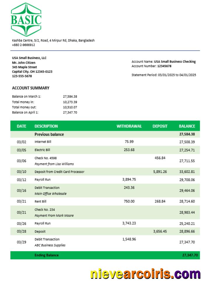 Basic Bank enterprise account statement